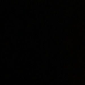 Meet your Posher, Maddie